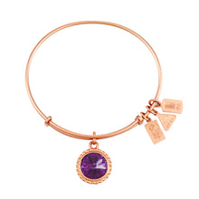 Load image into Gallery viewer, Wind & Fire February Birthstone Charm Bangle