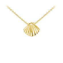Load image into Gallery viewer, Wind & Fire Seashell Sterling Silver Dainty Necklace
