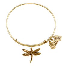 Load image into Gallery viewer, Wind & Fire Dragonfly Charm Bangle
