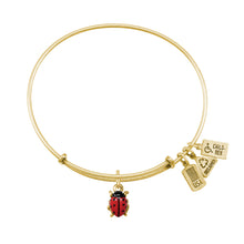 Load image into Gallery viewer, Wind & Fire Ladybug Enameled Charm Bangle