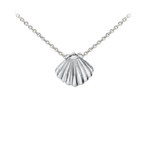Wind & Fire Seashell Sterling Silver Dainty Necklace