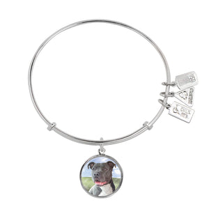 Wind & Fire Pit Bull Terrier Charm Bangle